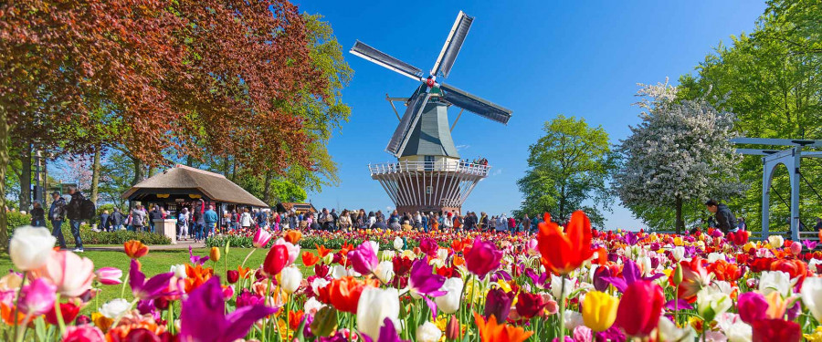 Тур «Ветряные мельницы и тюльпаны. Нидерланды и Бельгия»